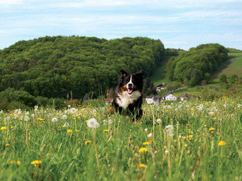 Urlaub Im Spessart 