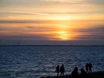 3 Tage Jadebusen und Nationalpark Niedersächsisches Wattenmeer erleben!