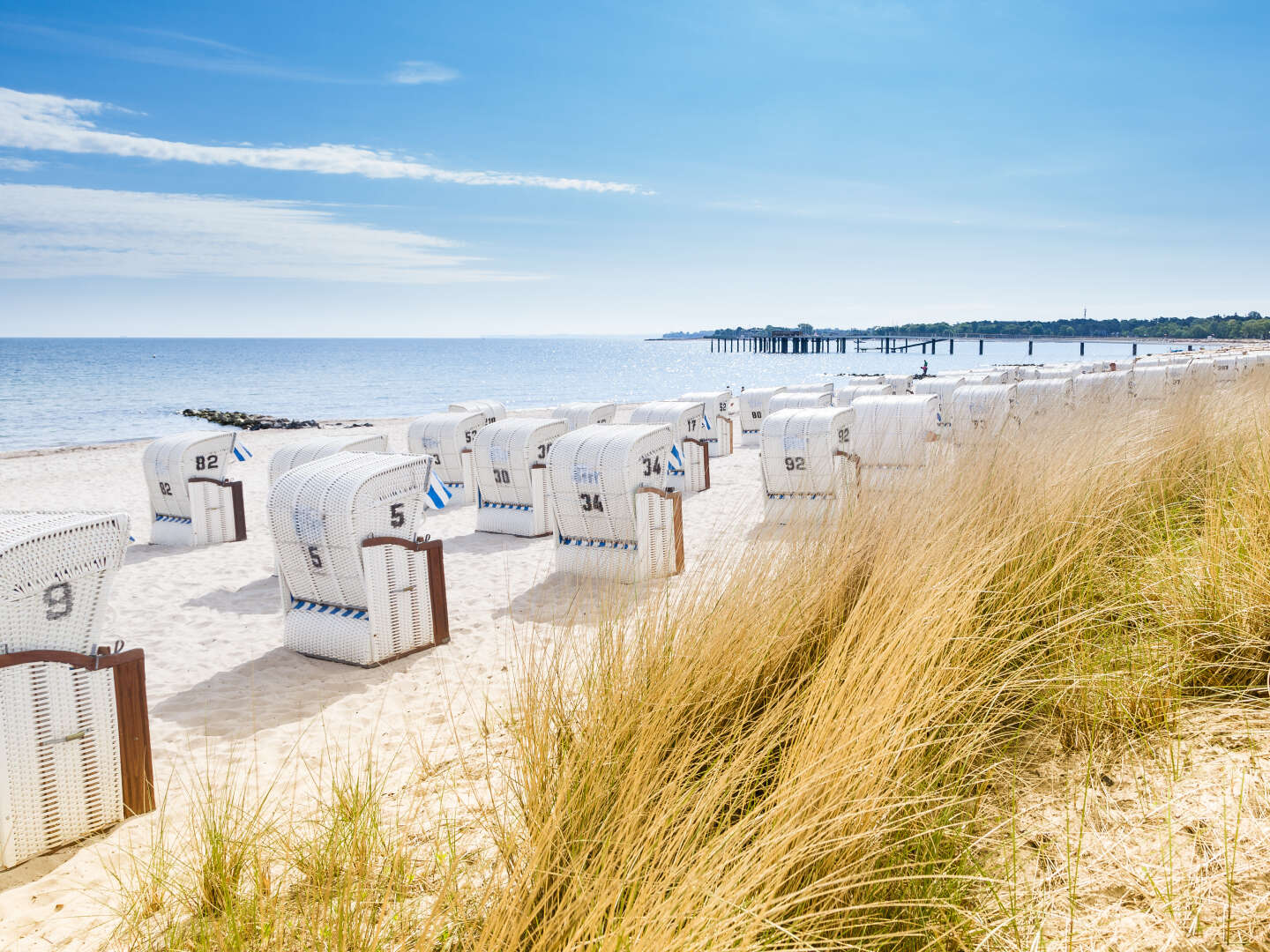 5 Tage Jadebusen und Nationalpark Niedersächsisches Wattenmeer erleben! 