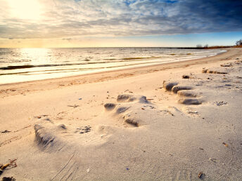 5 Tage Jadebusen und Nationalpark Niedersächsisches Wattenmeer erleben! 