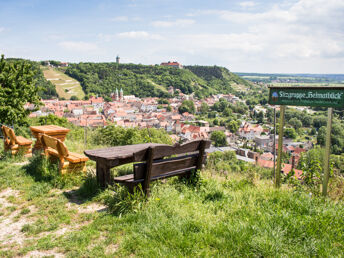 Romantische Weinreise 2 Tage im Burgen- und Weinland von Saale & Unstrut