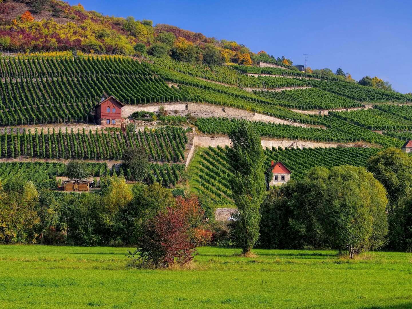  Romantische Weinreise 4 Tage im Burgen- und Weinland von Saale & Unstrut