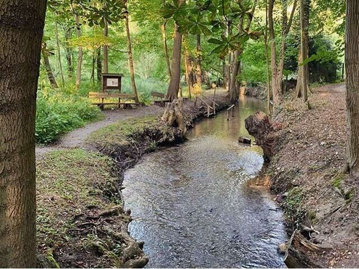 Die Perle der märkischen Schweiz - 4 Tage 