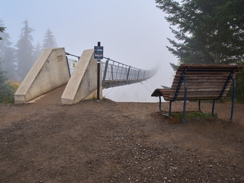 Geierlay Hängeseilbrücke inkl. Picknickkorb und Wein