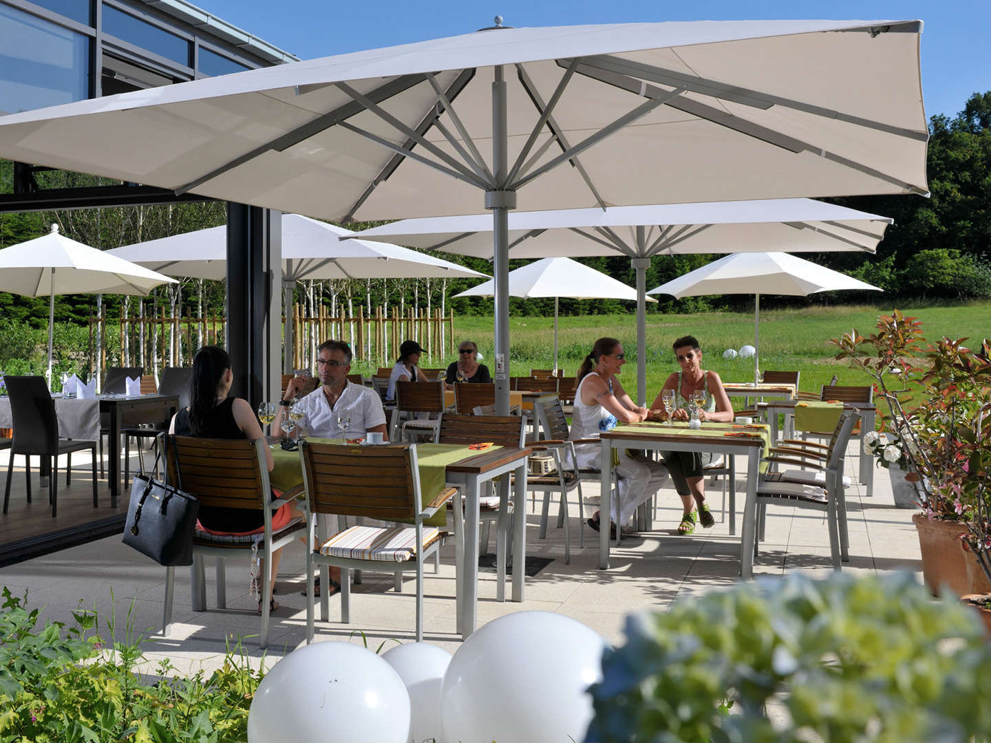 Geierlay Hängeseilbrücke inkl. Picknickkorb und Wein