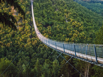 Geierlay Hängeseilbrücke inkl. Picknickkorb und Wein