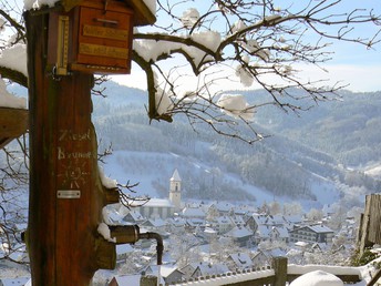 3  Tage Schwarzwald exklusiv verreisen - nur 99 EUR!