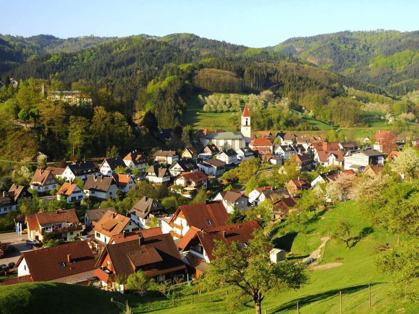 3  Tage Schwarzwald exklusiv verreisen - nur 99 EUR!