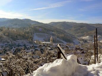 Adventszauber im Schwarzwald & Elsaß 4 Tage