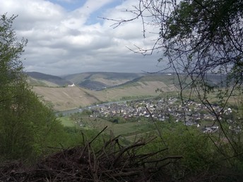 4 Tage | Wandern in der Eifel inkl. Lunchpaket & Wanderkarte