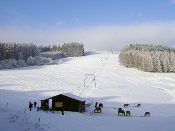 Kleine Auszeit im Land der tausend Berge | 5 Tage Sauerland inkl. Vollpension & Wellness