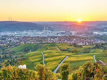 Wandern durch die Weinberge im Remstal bei Stuttgart 3 Tage