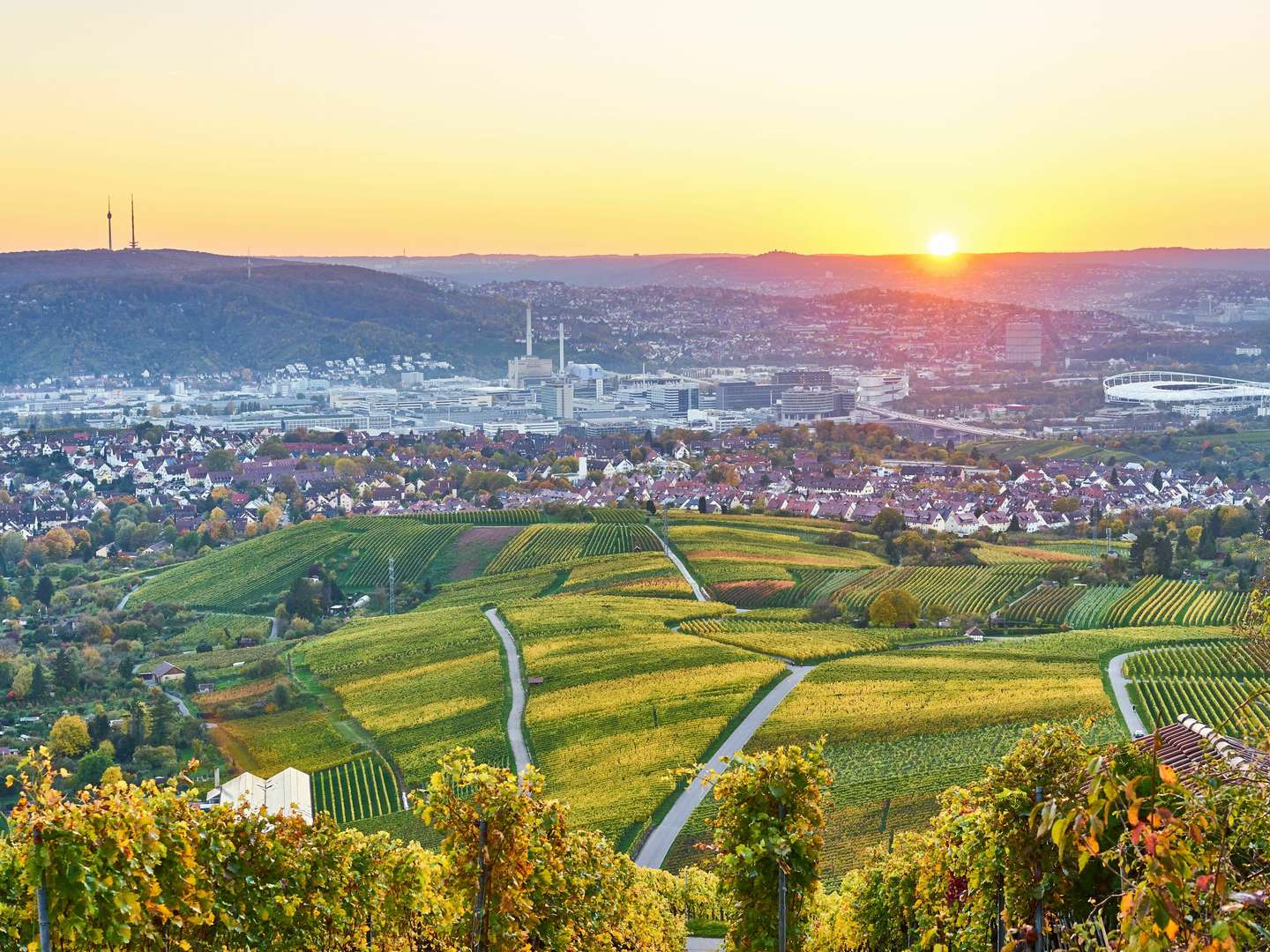 Wandern durch die Weinberge im Remstal bei Stuttgart 6 Tage