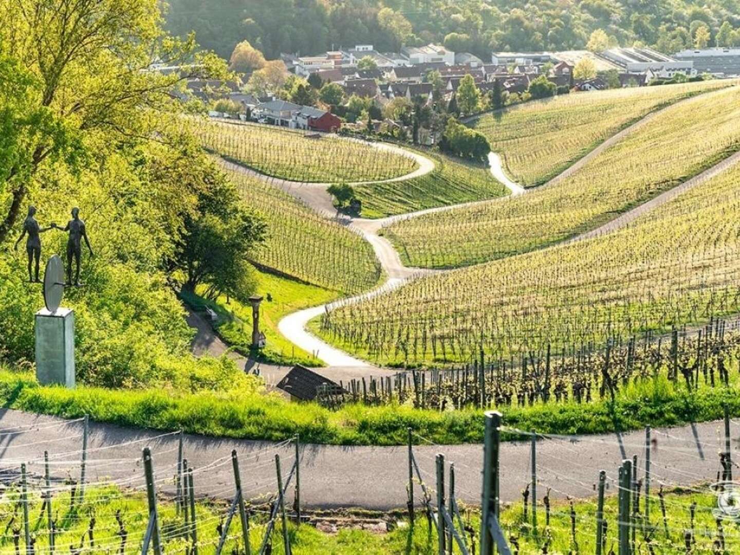 Wandern durch die Weinberge im Remstal bei Stuttgart 7 Tage