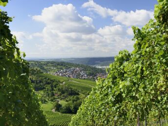 Wandern durch die Weinberge im Remstal bei Stuttgart 6 Tage