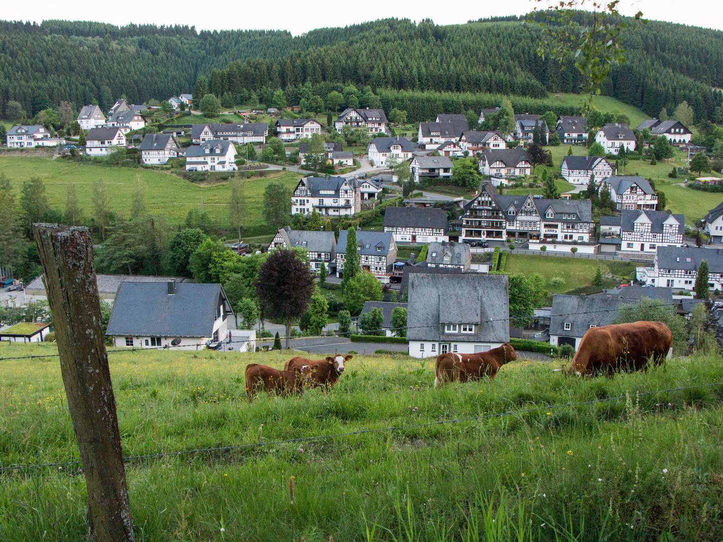 Ein Wanderwochenende im Sauerland inkl. SauerlandCard 