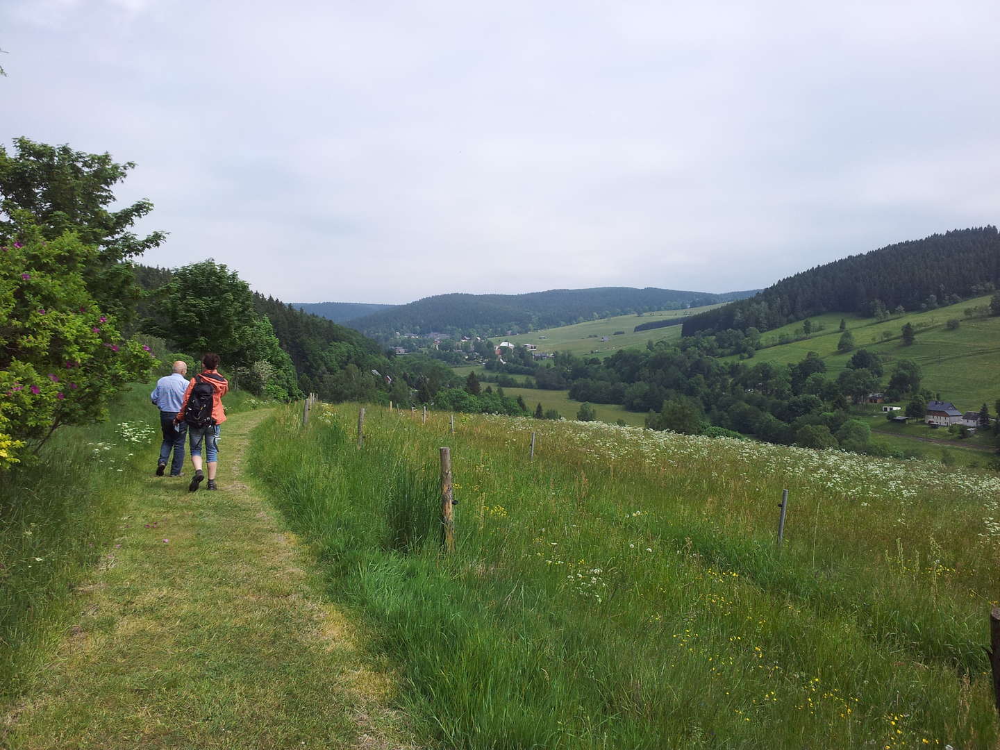 Kurzurlaub im Naturhotel Lindenhof im Erzgebirge inkl. Halbpension 