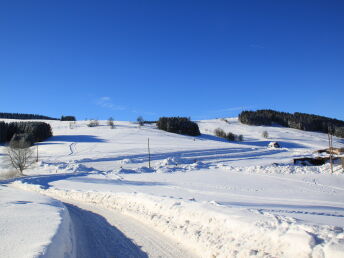 Erzgebirge - Auszeit im Naturhotel Lindenhof 7 Tage