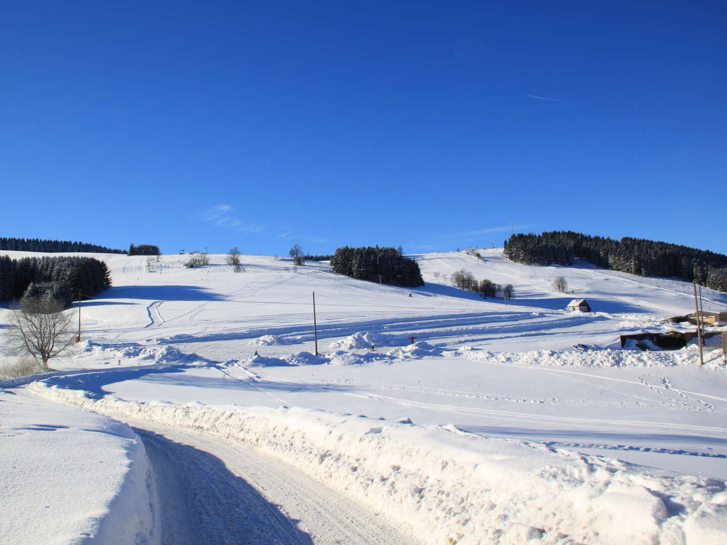 Kurzurlaub im Naturhotel Lindenhof im Erzgebirge inkl. Halbpension 