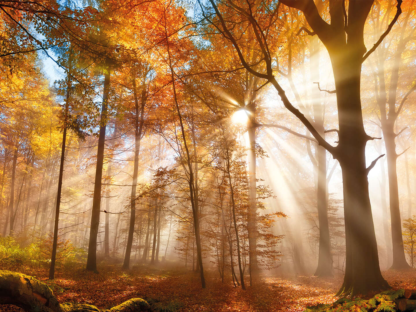 Goldene Herbsttage auf der Schwäbischen Alb