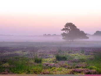 Wellness & Aktivwoche in der Lüneburger Heide inkl. Massage