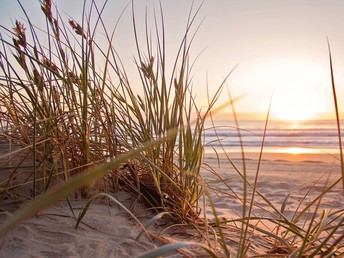 USEDOM tierisch erleben I 4 Nächte