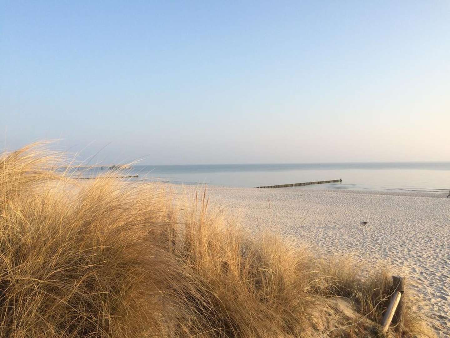 USEDOM tierisch erleben I 4 Nächte