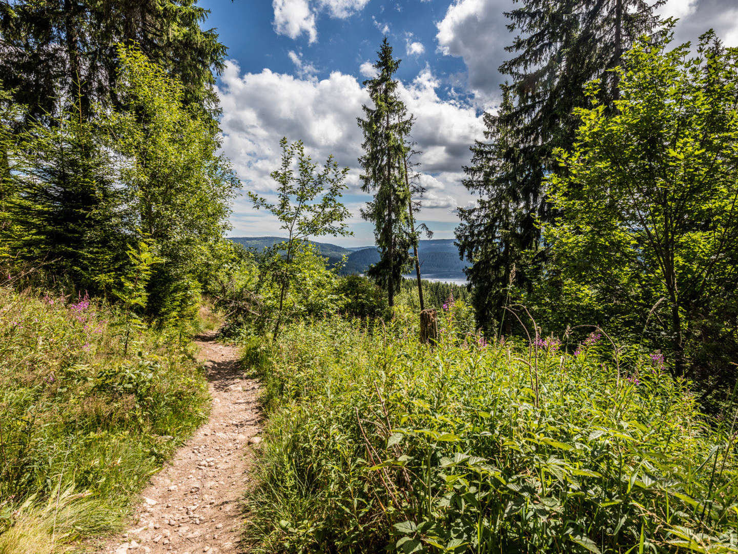 2 Tage freche Küche genießen im Schwarzwald