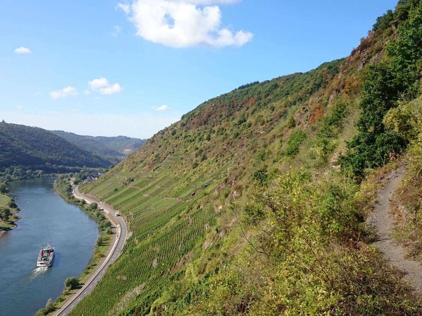 Eine Woche an die Mosel - 7 Übernachtungen inkl. Frühstück