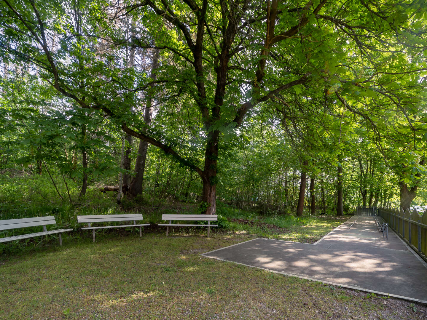 Erlebnisurlaub im Naturpark Harz - 7 Tage  inkl. Halbpension