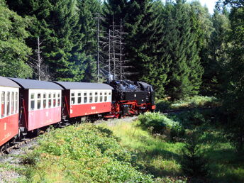 Erlebnisurlaub im Naturpark Harz - 5 Tage 