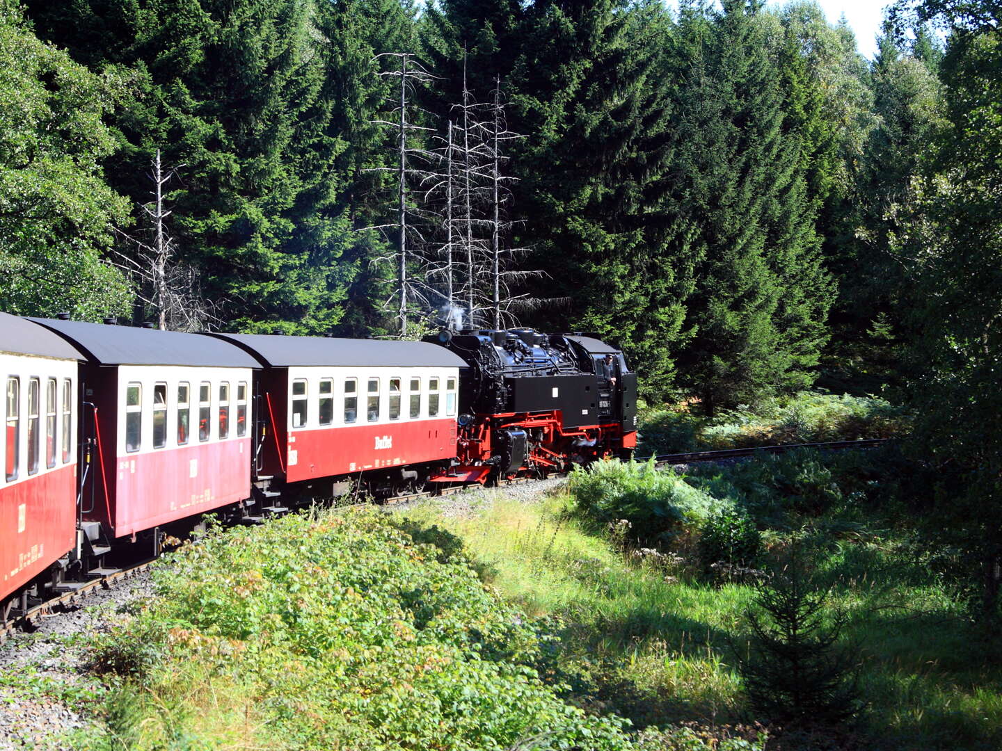 Erlebnisurlaub im Naturpark Harz - 7 Tage  inkl. Halbpension