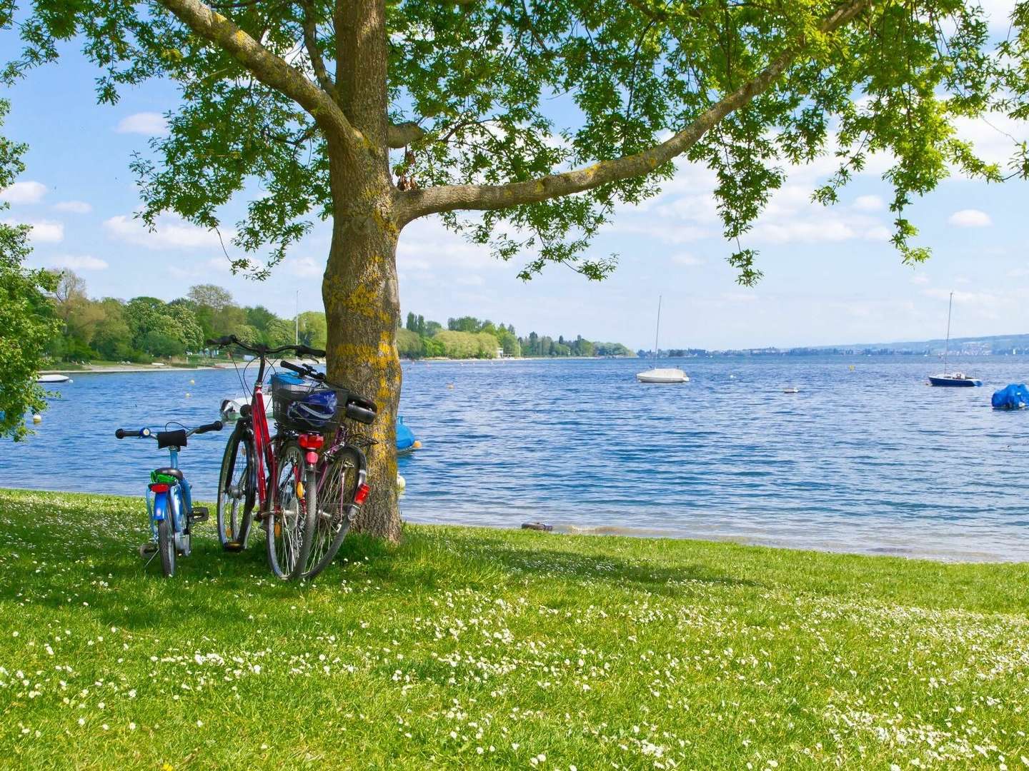 Bed, Bike & Breakfast am Bodensee| 4 Tage