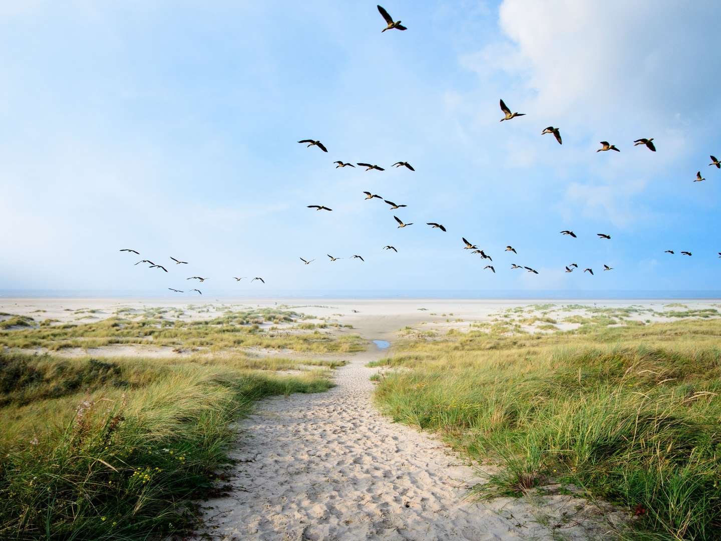 moin an der Nordsee - 6 Tage in Ostfriesland inkl. Abendessen   