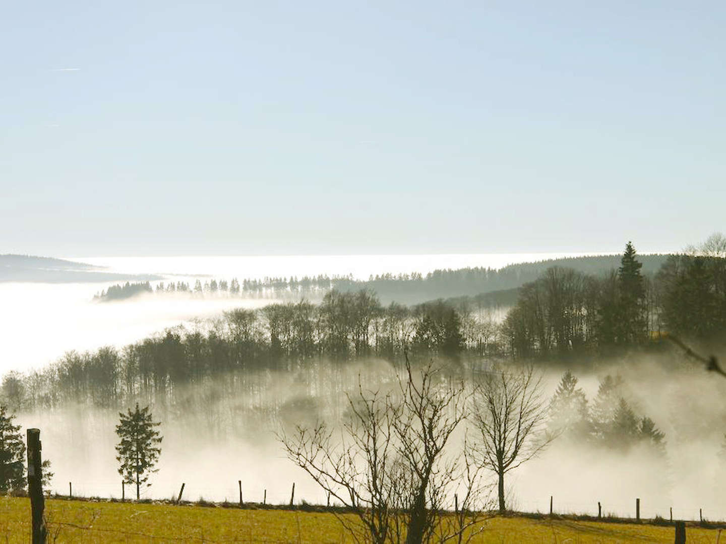 4 Tage | Wanderurlaub in Winterberg - inkl. 4 Gang Menü