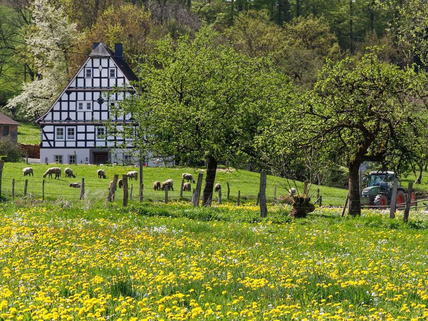 4 Tage | Wanderurlaub in Winterberg - inkl. 4 Gang Menü