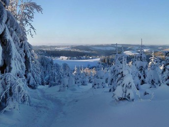 3 Tage Skilaufen oder Schneeschuhwandern im Sauerland