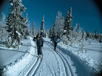 1 Woche Skilaufen in Winterberg