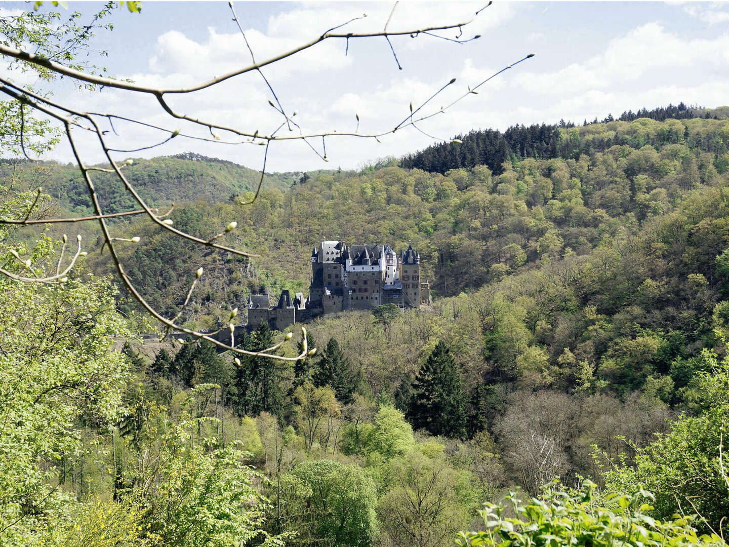 Urlaub beim Winzer an der Mosel 2