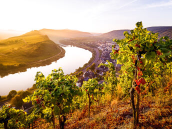 Herbst - Spezial beim Moselwinzer