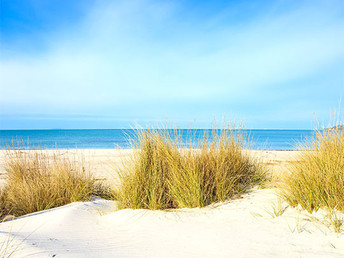 Geheimtipp Trassenheide, 4 Tage ganz nah am Strand