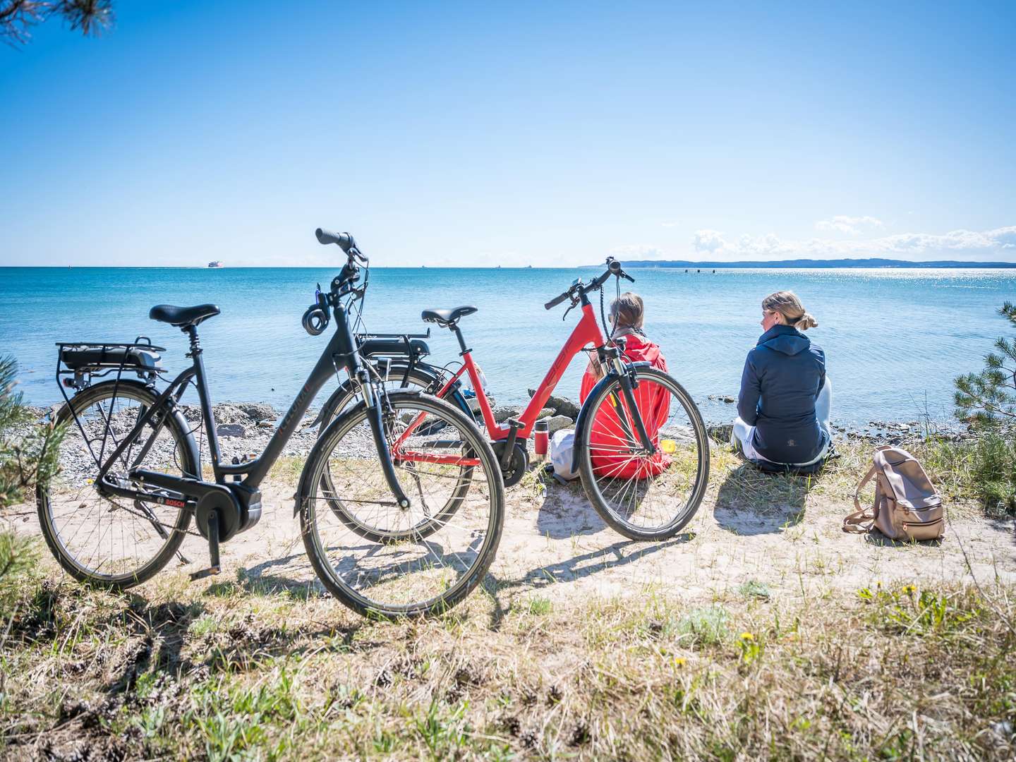 Urlaub mit Ihrem Hund - 3 entspannte Tage mit Ihrem Vierbeiner auf der Insel Rügen