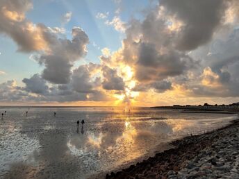 4 Tage Kurzurlaub an der Nordsee inmitten des Wattenmeeres