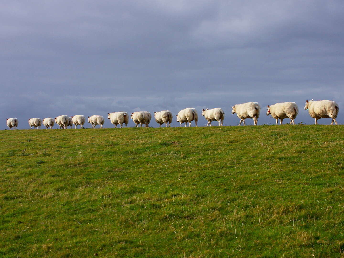 6 Tage Kurzurlaub an der Nordsee