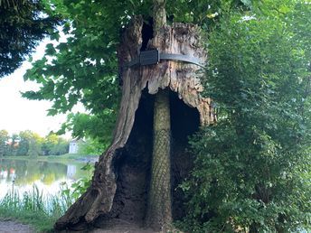 Erster Advent im Gartenreich Dessau-Wörlitz