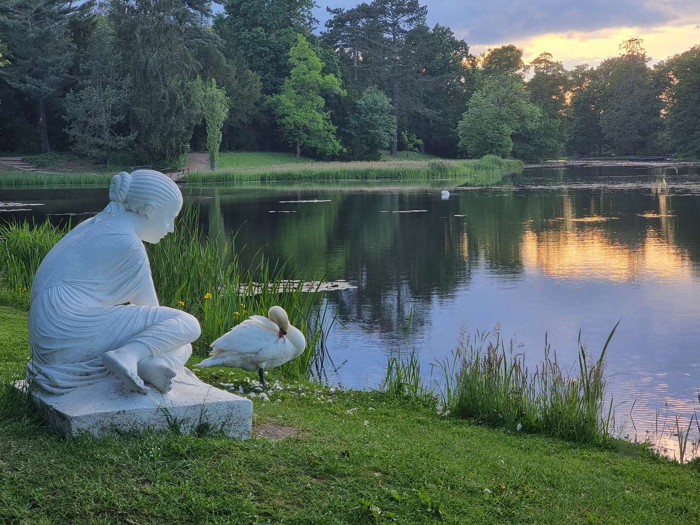 Wörlitzer Park erleben - 3 Tage Naturwellness im Venedig Anhalt's