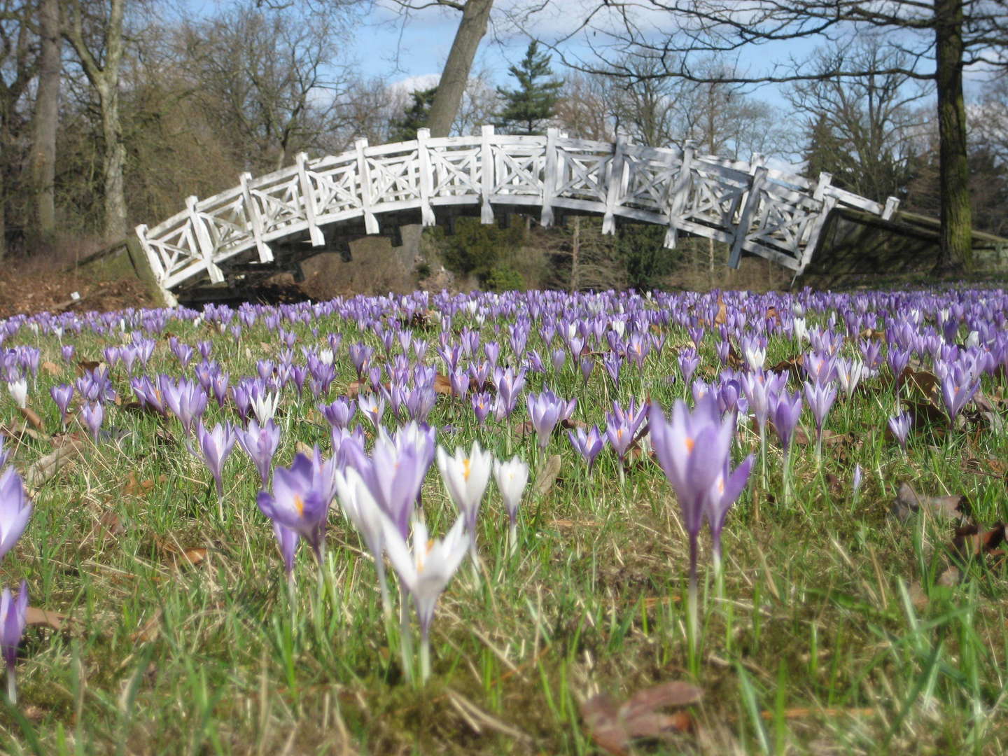 Erster Advent im Gartenreich Dessau-Wörlitz