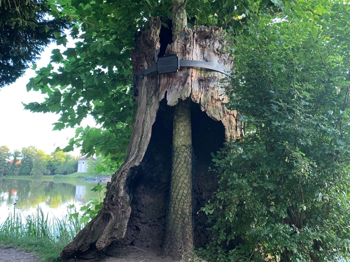 Erster Advent im Gartenreich Dessau-Wörlitz