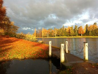 Herbstliche GenussZeit & Seelenwellness