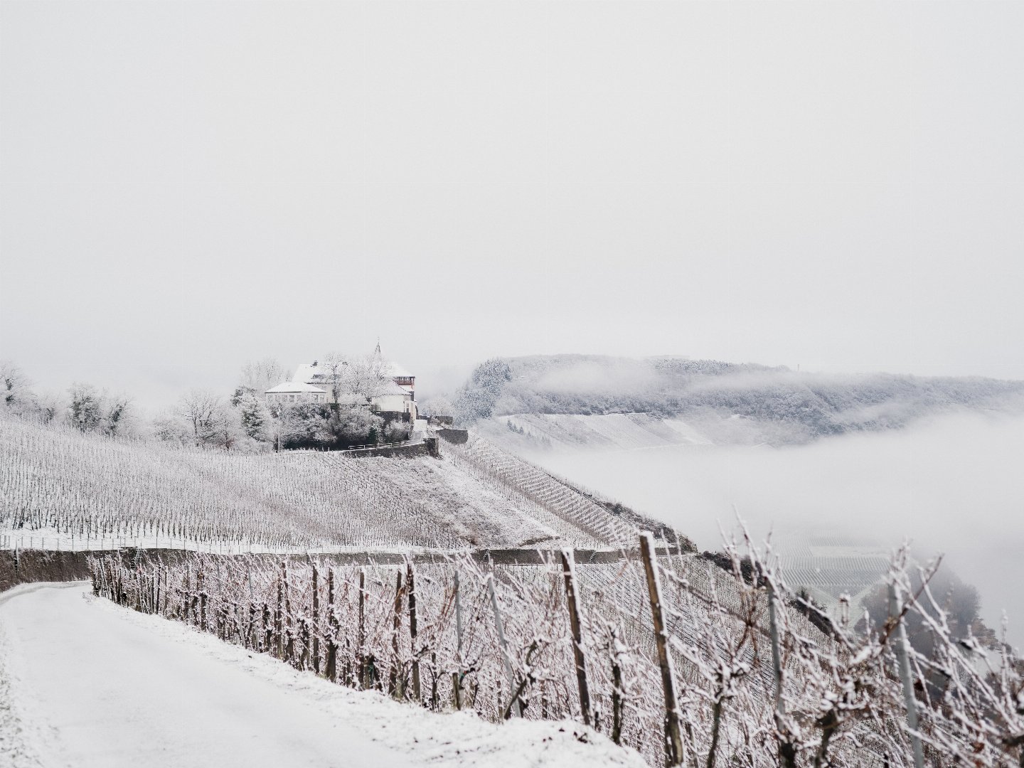 Entspannte Herbsttage an der Mosel | 5 Tage